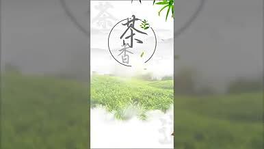 简约清新茶文化朋友圈短视频ae模板视频的预览图